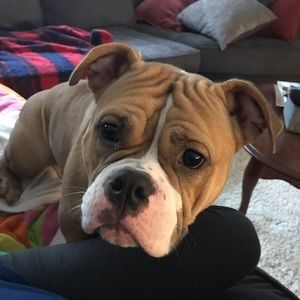 Meet your Posher, Jerica